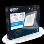 Прожектор светодиодный  Qplus 50W 4250lm 6500K 200-240V IP65 графитовый LED 1/10 | 690511350 | Gauss