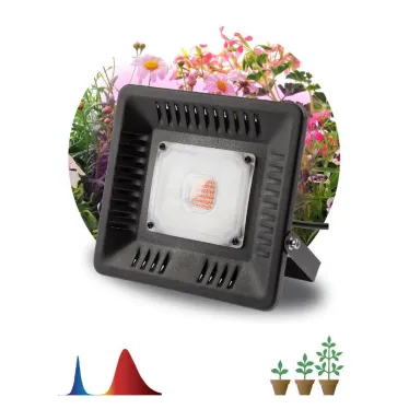 Прожектор светодиодный фито для растений красно-синий спектр FITO-50W-LED BLUERED | Б0039033 | ЭРА