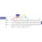Гирлянда "LED ClipLight" 24V, 3 нити по 10 метров, цвет диодов Мульти | 323-319 | NEON-NIGHT