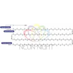 Гирлянда "Мультишарики" Ø13 мм, 20 м, черный ПВХ, 200 диодов, цвет RGB | 303-509-1 | NEON-NIGHT