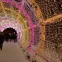 Светодиодная гирлянда ARD-STRING-CLASSIC-10000-CLEAR-100LED-FLASH Rose Gold (230V, 7W) (Ardecoled, IP65) | 025790 | Arlight
