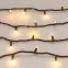 Светодиодная гирлянда ARD-STRING-PRO-1000-GREEN-100LED-MILK-PULSE Warm (230V, 7W) (Ardecoled, IP65) | 031662 | Arlight