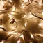 Светодиодная гирлянда ARD-STRING-HOME-10000-WHITE-99LED-RUN WARM (230V, 10.5W) | 025920 | Arlight