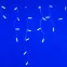 Светодиодная гирлянда ARD-EDGE-CLASSIC-2400x600-WHITE-88LED-STD BLUE (230V, 6W) | 026016 | Arlight