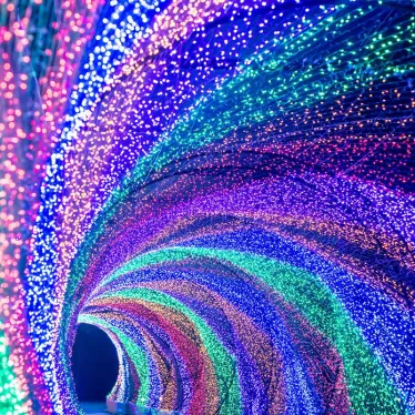 Светодиодная гирлянда ARD-CURTAIN-CLASSIC-2000x3000-CLEAR-756LED RGB (230V, 108W) | 024866 | Arlight