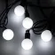 Светодиодная гирлянда ARD-BALL-CLASSIC-D23-20000-BLACK-160LED WHITE (230V, 7W) | 025630 | Arlight