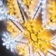Фигура ARD-SNOWFLAKE-M12-900x900-576LED White/Warm (230V, 36W) (Ardecoled, IP65) | 034262 | Arlight
