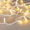 Светодиодная гирлянда ARD-STRING-CLASSIC-10000-WHITE-100LED-MILK-SYNC RGB (230V, 6.5W) (Ardecoled, IP65) | 028208 | Arlight