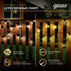 Гирлянда "Белт Лайт" серия Holiday для сменных ламп Е27, 10 ламп, 8 м, IP65, черный, 1/8 | HL070 | Gauss
