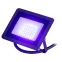 Прожектор светодиодный уличный ДО синее свечение 330лм IP65 LPR-025-BLUE-030 30Вт