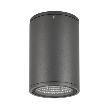Светильник LGD-FORMA-SURFACE-R90-12W Day4000 (GR, 44 deg, 230V) (Arlight, IP54 Металл, 3 года) | 032576 | Arlight