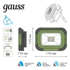 Аккумуляторный светодиодный прожектор PORTABLE LIGHT 10W 700lm IP44 6500К 1/20 | 686400310 | Gauss
