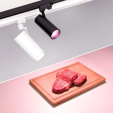Светильник LGD-ZEUS-4TR-R88-20W Warm SP2900-Meat (BK, 20-60 deg, 230V) (Arlight, IP20 Металл, 3 года) | 032451 | Arlight