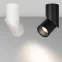 Светильник SP-TWIST-SURFACE-R70-12W Day4000 (BK, 30 deg) (Arlight, IP40 Металл, 3 года) | 025456(1) | Arlight
