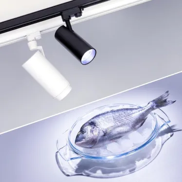 Светильник LGD-GERA-4TR-R74-20W Cool SP7500-Fish (BK, 24 deg, 230V) (Arlight, IP20 Металл, 3 года) | 032467 | Arlight