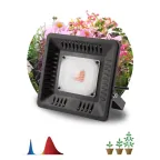 Прожектор светодиодный фито для растений красно-синий спектр FITO-50W-LED BLUERED | Б0039033 | ЭРА