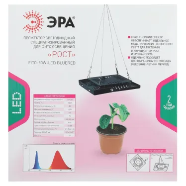 Прожектор светодиодный фито для растений красно-синий спектр FITO-50W-LED BLUERED | Б0039033 | ЭРА