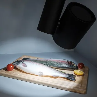 Светильник LGD-SHOP-4TR-R100-40W Cool SP7500-Fish (BK, 24 deg) | 026291 | Arlight