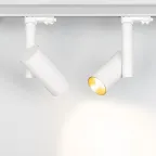 Светильник SP-POLO-TRACK-PIPE-R65-8W Warm3000 (WH-GD, 40 deg) | 027493 | Arlight