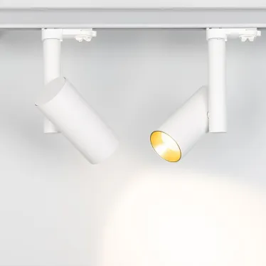Светильник SP-POLO-TRACK-PIPE-R65-8W Warm3000 (WH-GD, 40 deg) | 027493 | Arlight