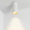 Светильник SP-POLO-SURFACE-R65-8W Day4000 (WH-GD, 40 deg) | 027505 | Arlight