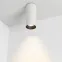 Светильник SP-POLO-SURFACE-R65-8W Day4000 (WH-BK, 40 deg) | 027503 | Arlight