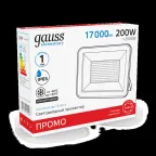 Прожектор светодиодный LED Elementary 100W 6600lm IP65 6500К черный ПРОМО 1/10 | 613100100P | Gauss