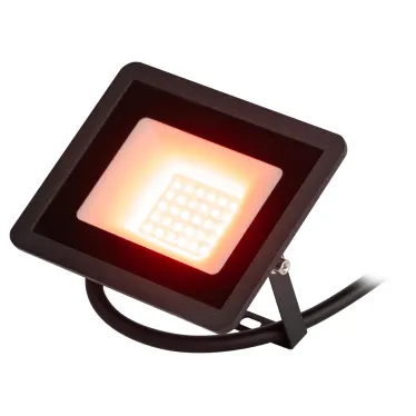 Прожектор светодиодный уличный ДО 30Вт красное свечение 600лм IP65 LPR-025-RED-030