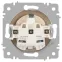Розетка Intro Accent 6-202-11 2P+E Schuko, 16А-250В, IP20, СУ, cосна