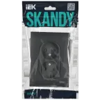 SKANDY Розетка 2-местная без заземления с защитными шторками 10А в сборе SK-R09T титан IEK