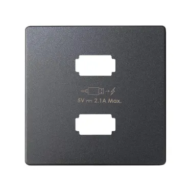 Накладка для зарядного устройства 2xUSB цвета графит S82 | 8221096-038 | Simon
