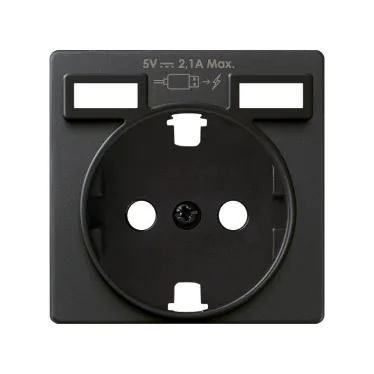Накладка для розетки Schuko с зарядным устройством 2хUSB цвета графит S82 | 8200049-038 | Simon