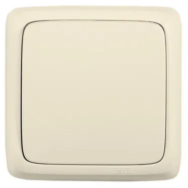 Выключатель открытой установки, одноклавишный, цвет слоновая кость | ВА16-111-01 | HEGEL