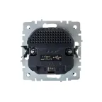 BRITE Розетка с заземлением с защитными шторками 16А с USB A+A 2,1А РЮш10-1-БрЧ черный