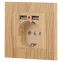Розетка Intro Accent 6-410-11 , P+E Schuko со шторками, 16А-250В + 2хUSB, IP20, СУ, сосна