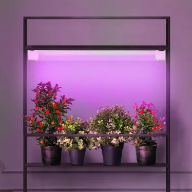 Линейный светильник красно-синего спектра FITO-36W-RB-N (10/240)