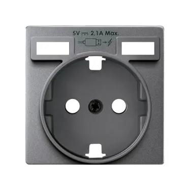 Накладка для розетки Schuko с зарядным устройством 2хUSB цвета холодный алюминий S82 Detail | 8200049-093 | Simon