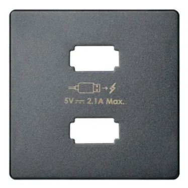 Накладка для зарядного устройства 2xUSB цвета матовый титан S82 Concept | 8221096-096 | Simon