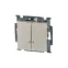 ABB Basic 55 Сл. кость Выключатель 2-клавишный с подсветкой | 1012-0-2157  | 2CKA001012A2157 | ABB