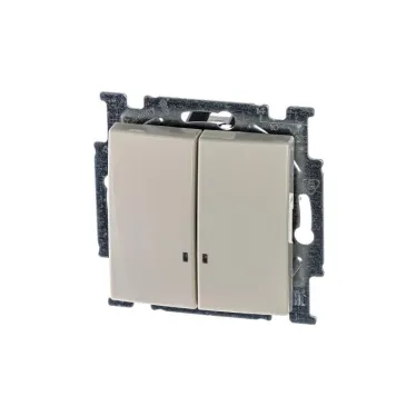 ABB Basic 55 Сл. кость Выключатель 2-клавишный с подсветкой | 1012-0-2157  | 2CKA001012A2157 | ABB
