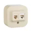 Quteo Розетка телефонная+компьютерная RJ11+RJ45 категория 5 UTP наружная бежевая