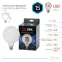 Лампа светодиодная F-LED G125-15w-840-E27 OPAL (филамент, шар опал, 15Вт, нетр, E27) | Б0047039 | ЭРА