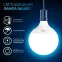Лампа светодиодная G125 22W 1840lm 6500K E27 LED 1/10 | 105102322 | Gauss