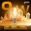 Лампа светодиодная LED Filament Шар E14 9W 680lm 2700K | 105801109 | Gauss