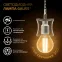 Лампа светодиодная LED Filament Шар E14 9W 680lm 2700K | 105801109 | Gauss
