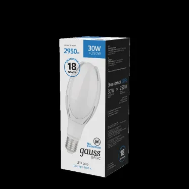 Лампа светодиодная промышленная Basic BT100 AC180-240V 30W 2950lm 6500K E40 LED 1/20 | 11834332 | Gauss
