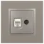 Розетка Elegance 14-3110-16 RJ45+TV, титан