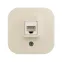 Quteo Розетка компьютерная RJ45 категория 5е UTP наружная бежевая