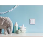 Выключатель двухклавишный - Legrand Inspiria - 10А 250В безвинтовые зажимы - белый