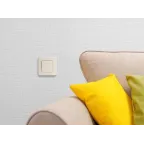 Выключатель одноклавишный - Legrand Inspiria - 10А 250В безвинтовые зажимы - слоновая кость
